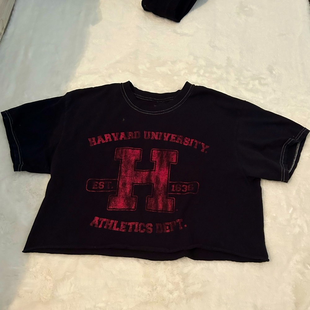 Black and Red Small Graphic Harvard Crop Top